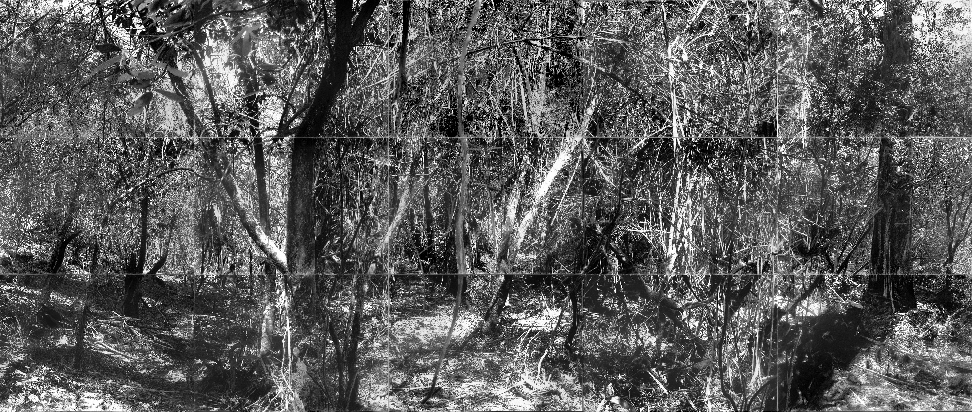 11 March – 5 April 2019 | TRACES by Louisa Waters